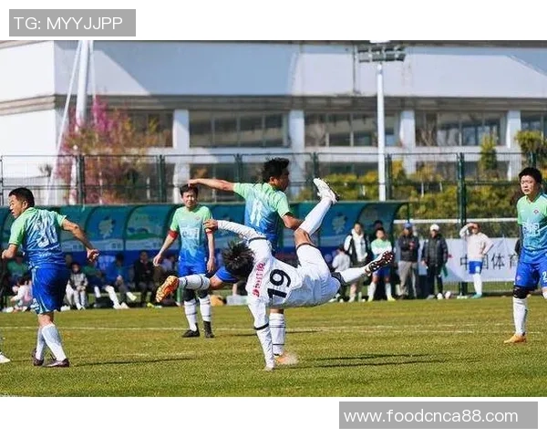 足球狐狸队勇闯赛场展现风采全力争夺冠军荣耀与梦想同行